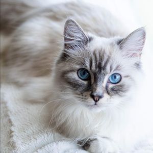 Meet your Posher, Rebecca